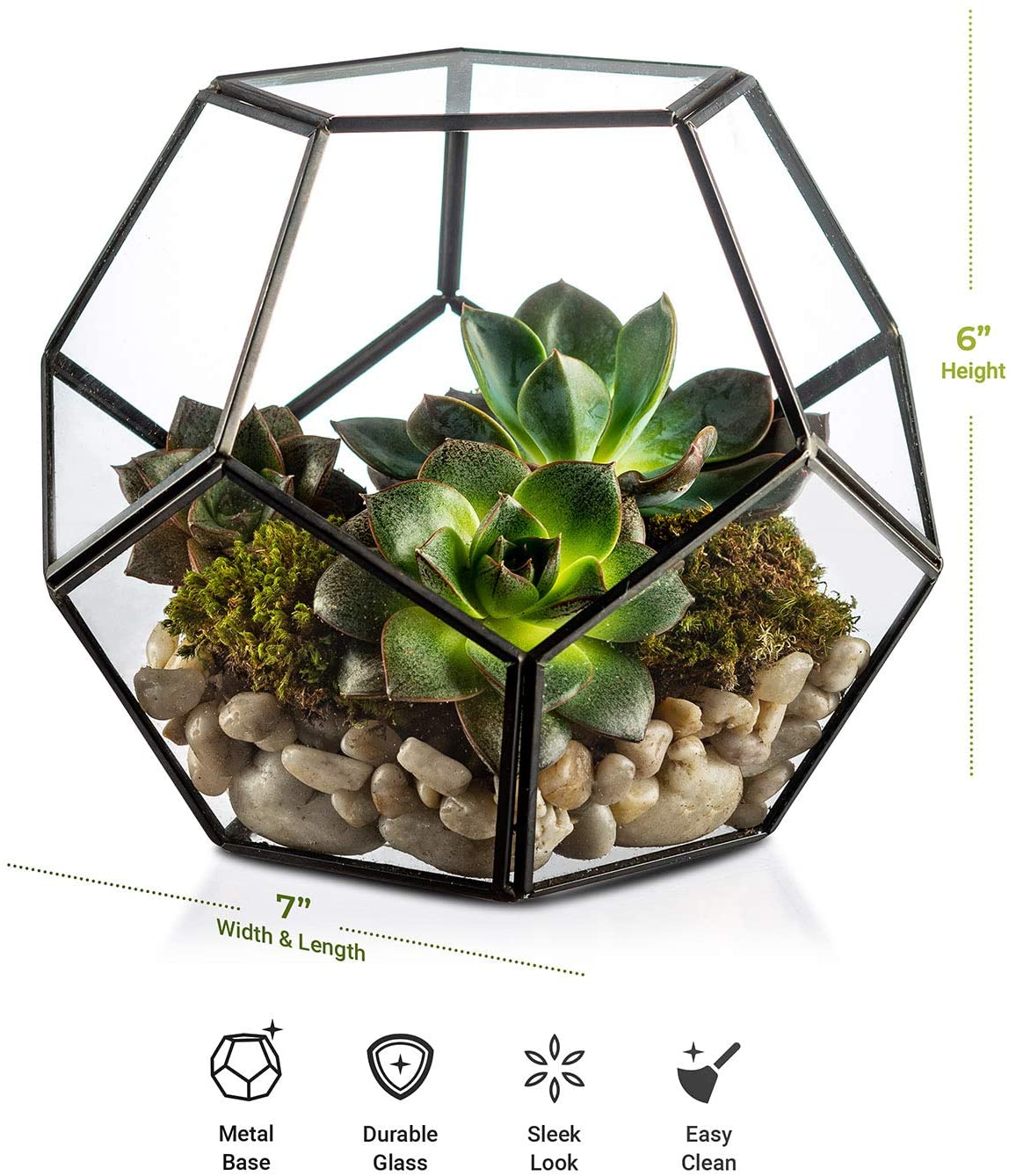 Kook Geometric Glass Terrarium, For Succulents and Air Plants, Black