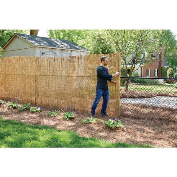 Vigoro 6 ft. H x 16 ft. W Natural Reed Garden Fencing Roll 0406164