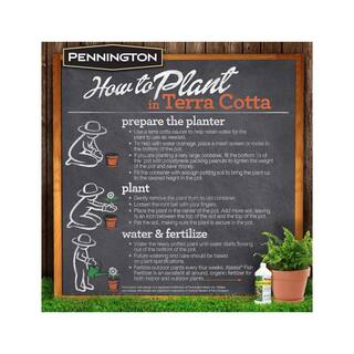 Pennington 12 in. Medium Terra Cotta Clay Dish Garden Planter 100021298