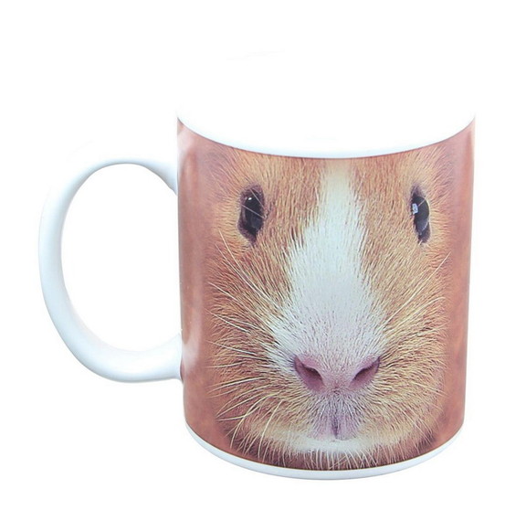 Just Funky JFL CMG G PIG FACE C Guniea Pig Face 11...