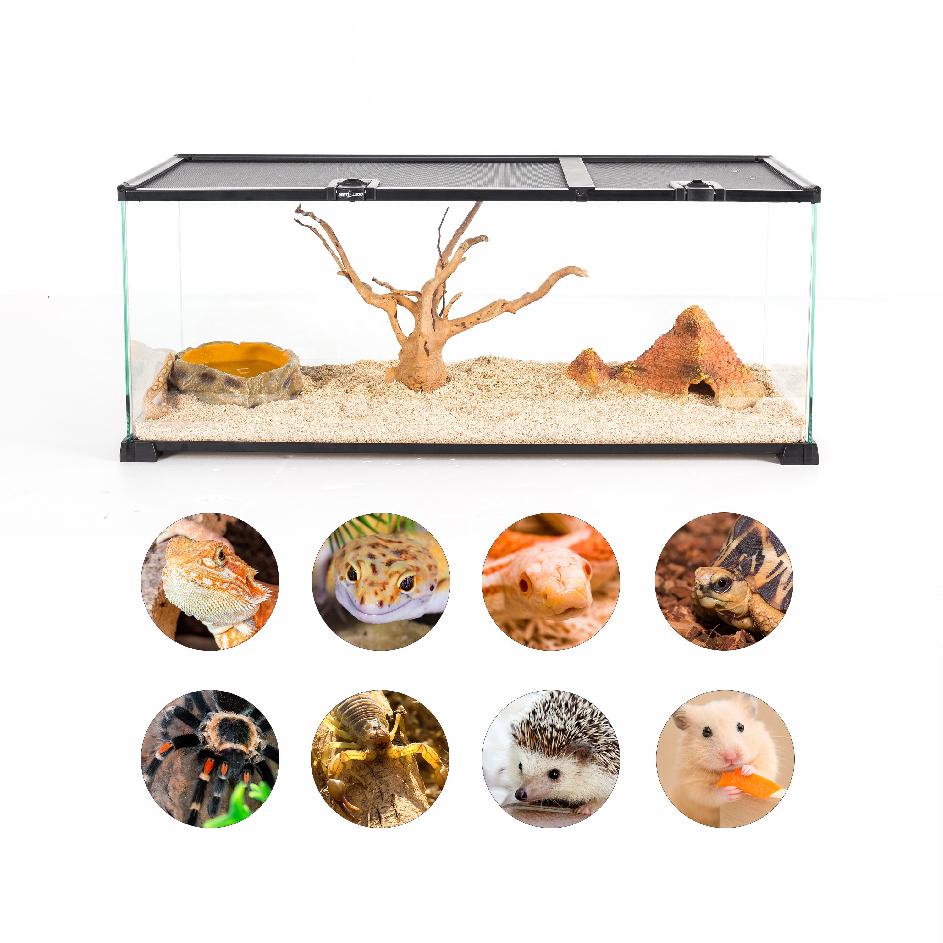 REPTI ZOO 20 Gallon Reptile Glass Terrarium Easy Clean Tank 30