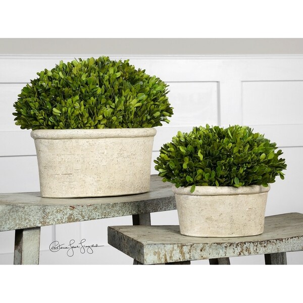 Uttermost Preserved Boxwood with Oval Dome (Set of 2)