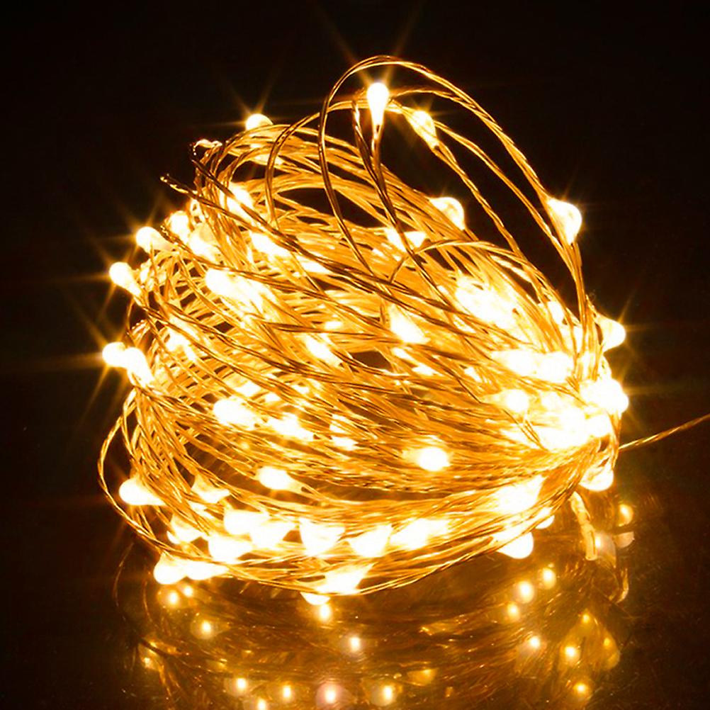 100 LED String Light 5V USB Powered Copper Wire Outdoor Fairy LED String Lights Christmas Wedding Party Decoration Light