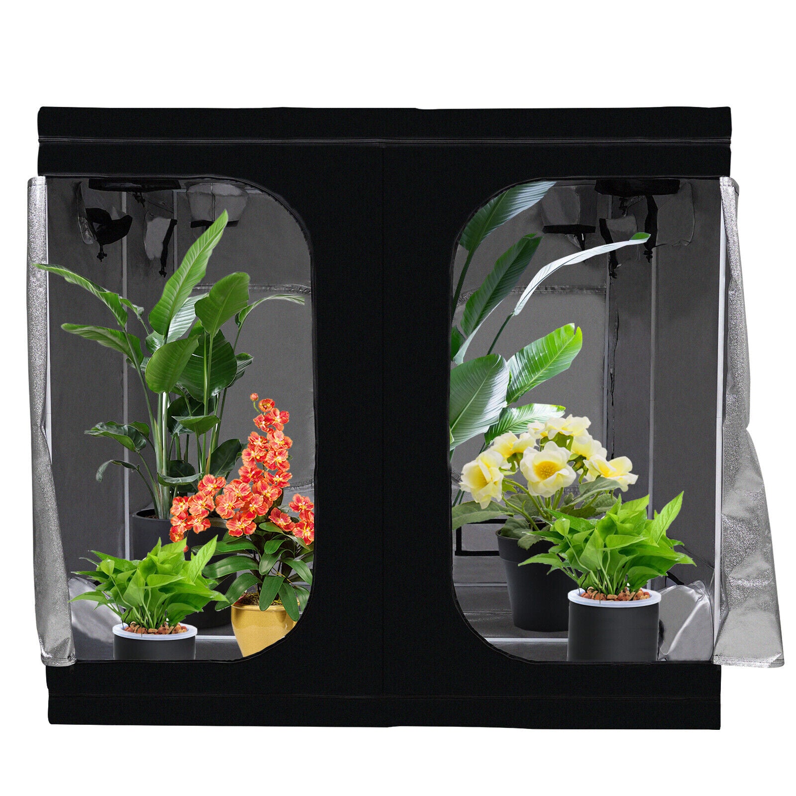 DENEST Indoor Hydroponic Grow Tent with  Window for Garden Plant Growing Waterproof