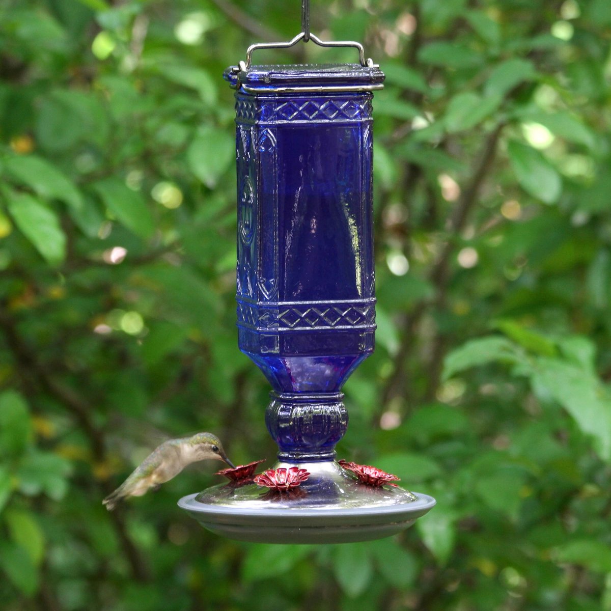 Perky-Pet Antique Glass Bottle Hummingbird Feeder