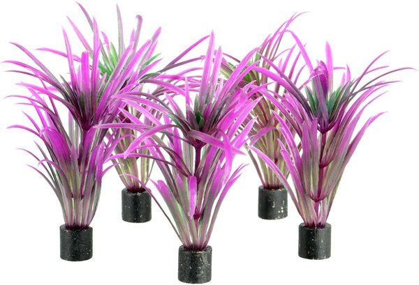 Underwater Treasures Mini Plant Purple Grass Fish Ornament， 5 count