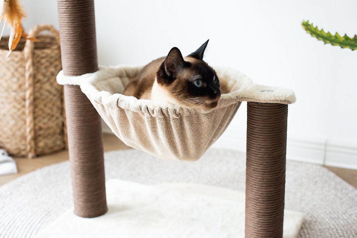 Catry 28-in Sisal Cat Tree