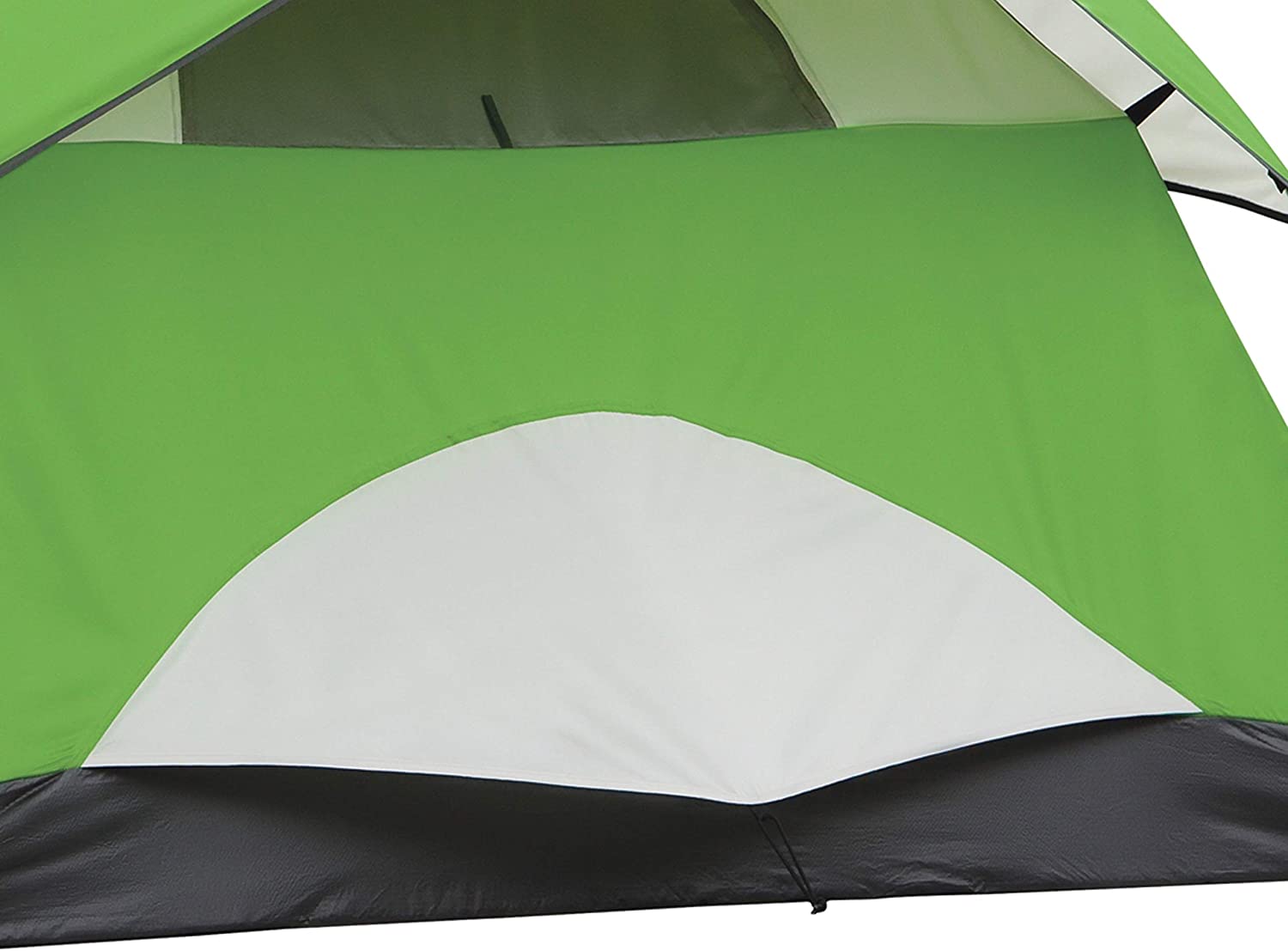 Coleman Sundome 6-Person Dome Camping Tent， Palm Green