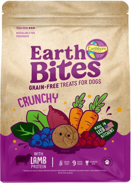 Earthborn Holistic Lamb Flavored Crunchy Dog Treats