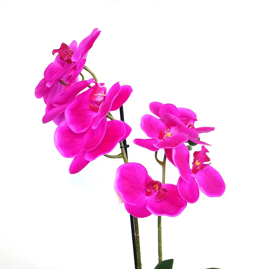 Supplies simulation pink color orchid plant with pot wholesale