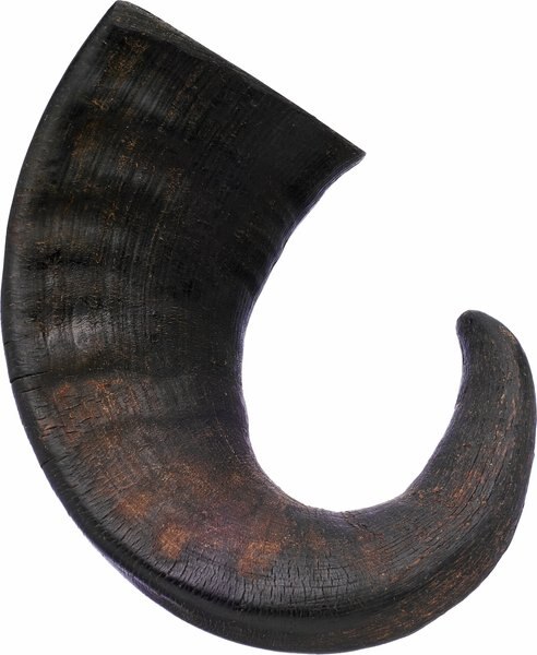 Bones and Chews Water Buffalo Horn Large Dog Treat， 1 ct