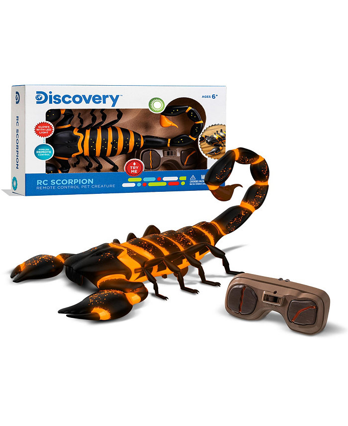 Discovery Kids RC Scorpion  Glow In The Dark Body  Wireless Remote-Control Toy for Kids