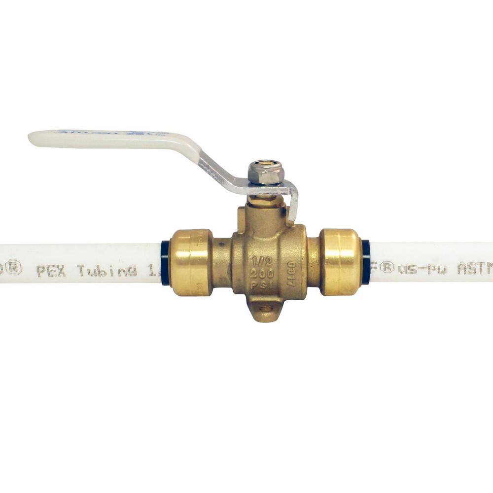 Tectite 12 in. Brass Push Ball Valve with Flange and Drain FSBBV12DE