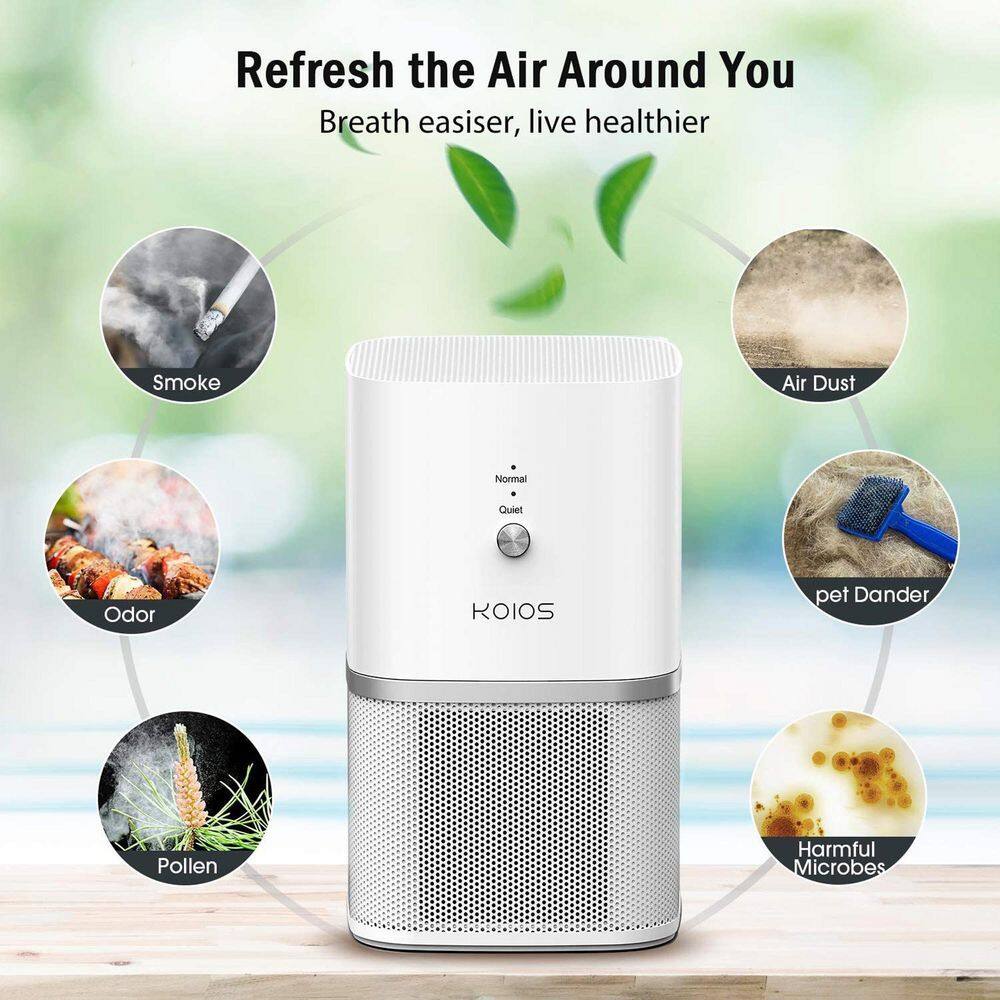 Small Air Purifiers with True HEPA Filter KX93-7