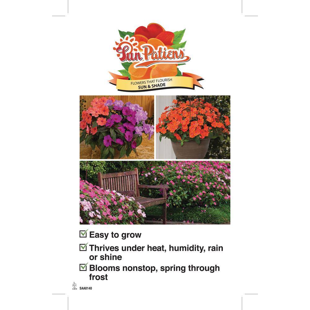 SunPatiens 1 Qt. Compact Royal Magenta SunPatiens Impatiens Outdoor Annual Plant with Purple Flowers 71474