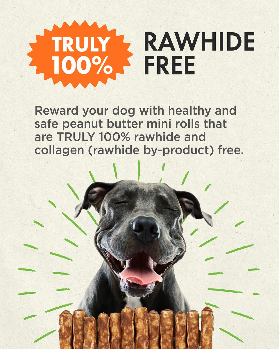 Canine Naturals Hide Free Peanut Butter Flavor Roll Dog Chew Treat， Small