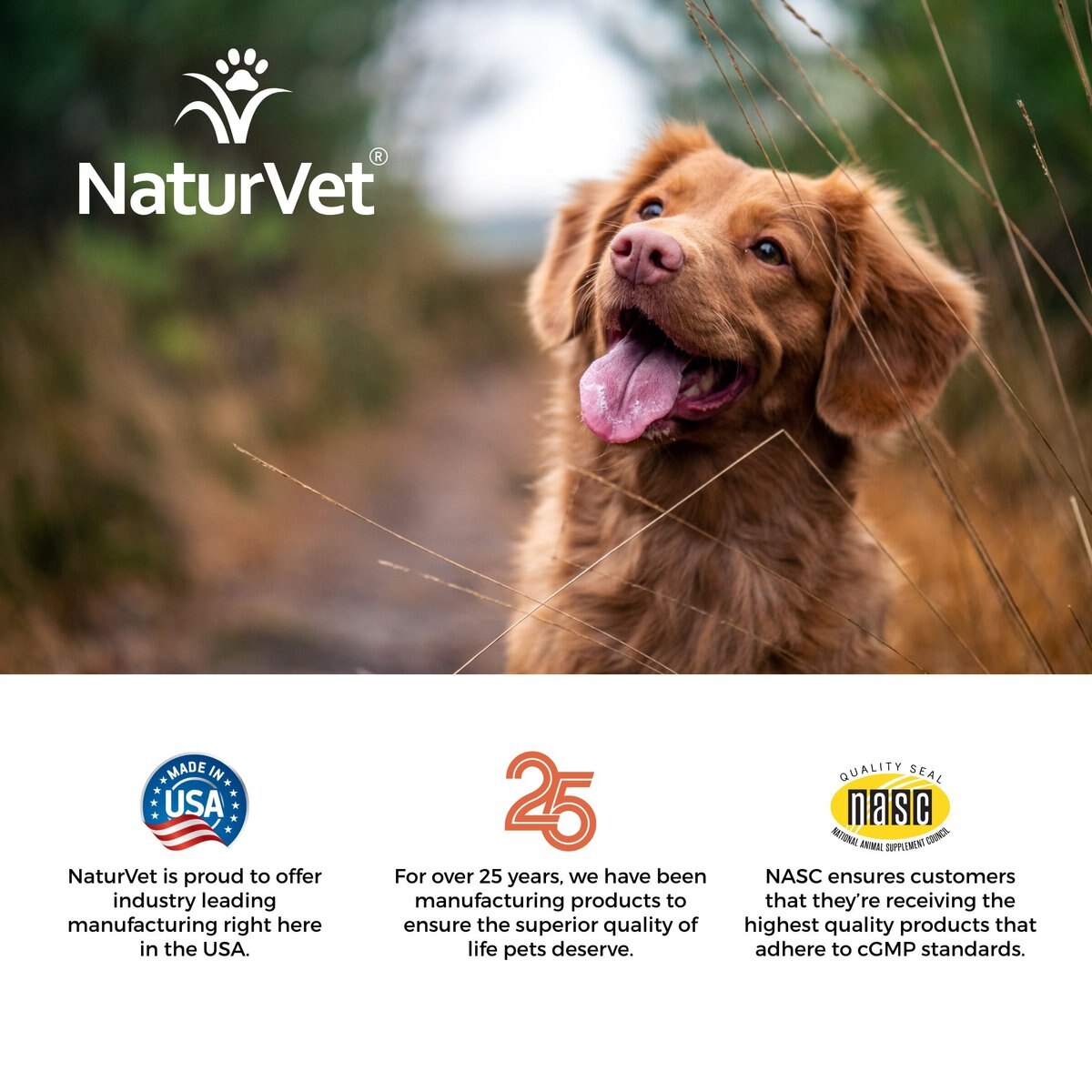 NaturVet All-in-One Soft Chews Multivitamin for Dogs