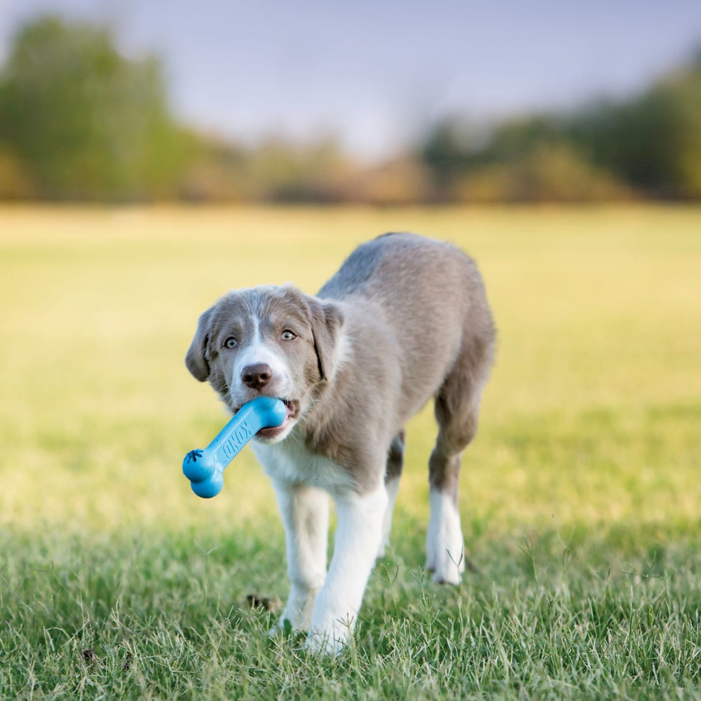 KONG Puppy Goodie Bone Dog Toy