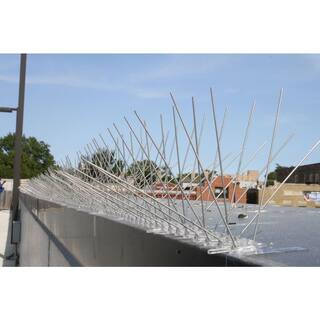 Bird-X 50 ft. Stainless Steel Bird Spikes Pigeons Starling Blackbirds Seagulls 6 in. Coverage STS-50