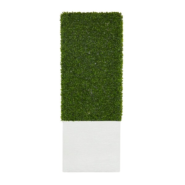 Exclusive and Utmost Beautiful Boxwood Hedge