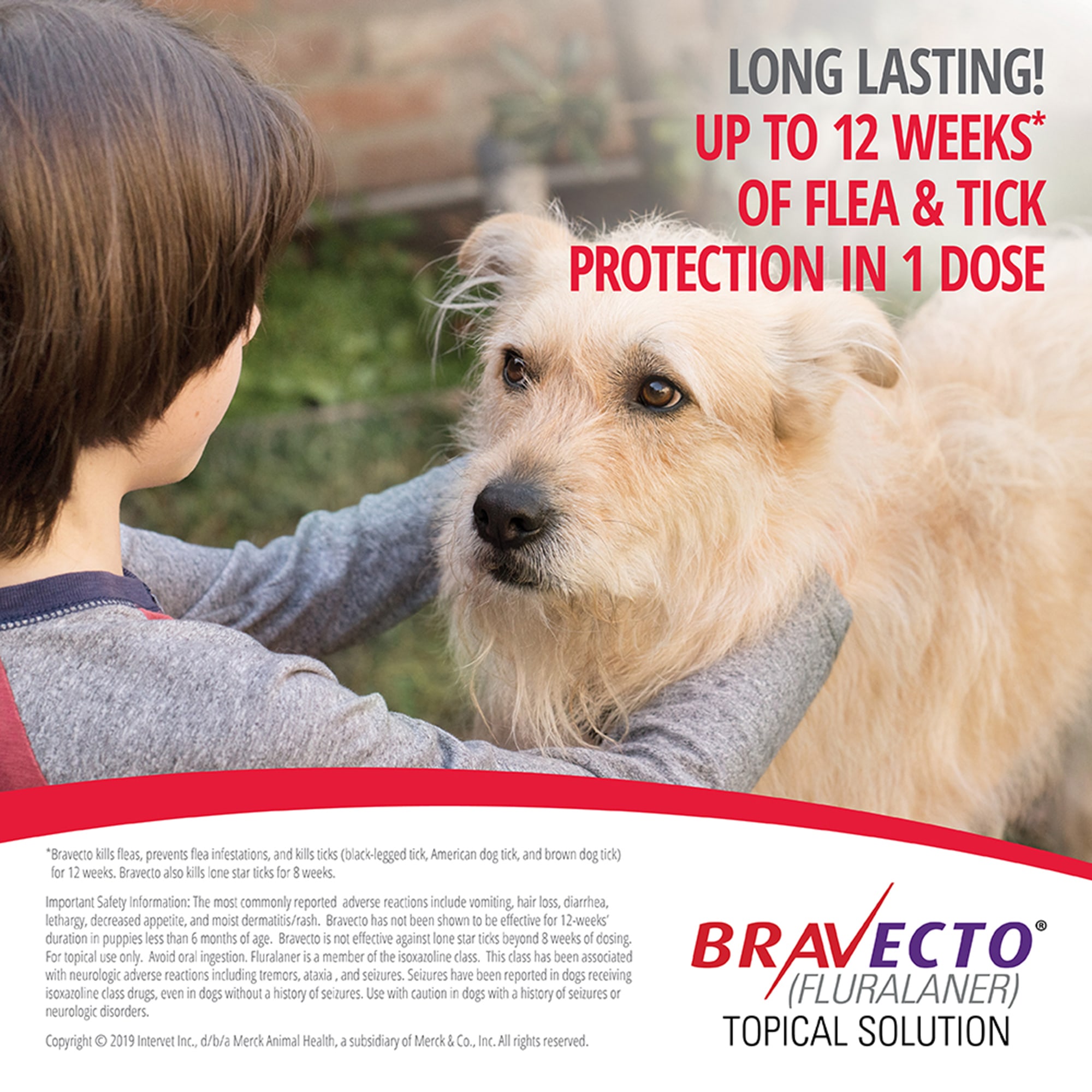 Bravecto Topical Solution for Dogs 22-44 lbs， 3 Month Supply