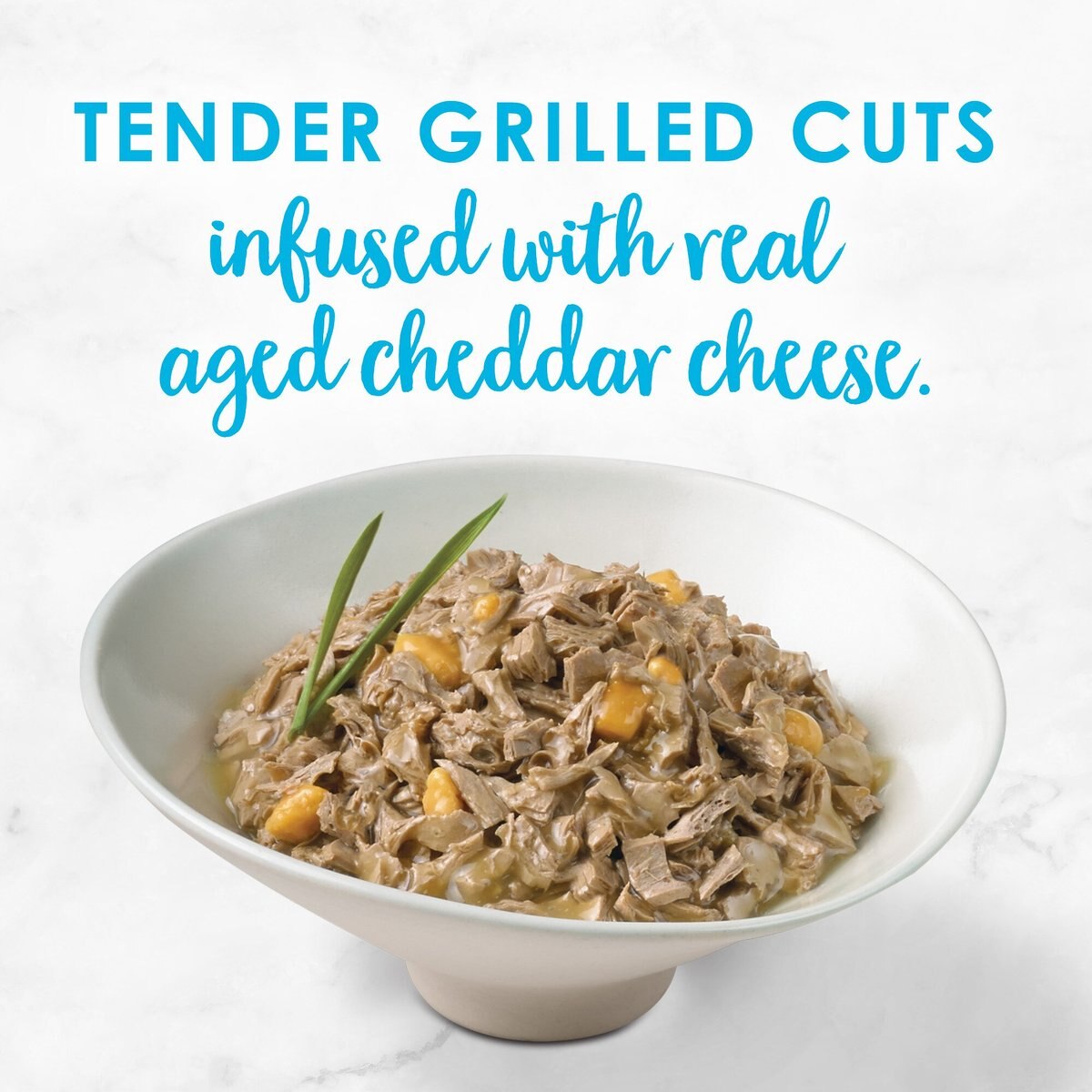 Fancy Feast Delights with Cheddar Grilled Tuna and Cheddar Cheese Feast in Gravy Canned Cat Food