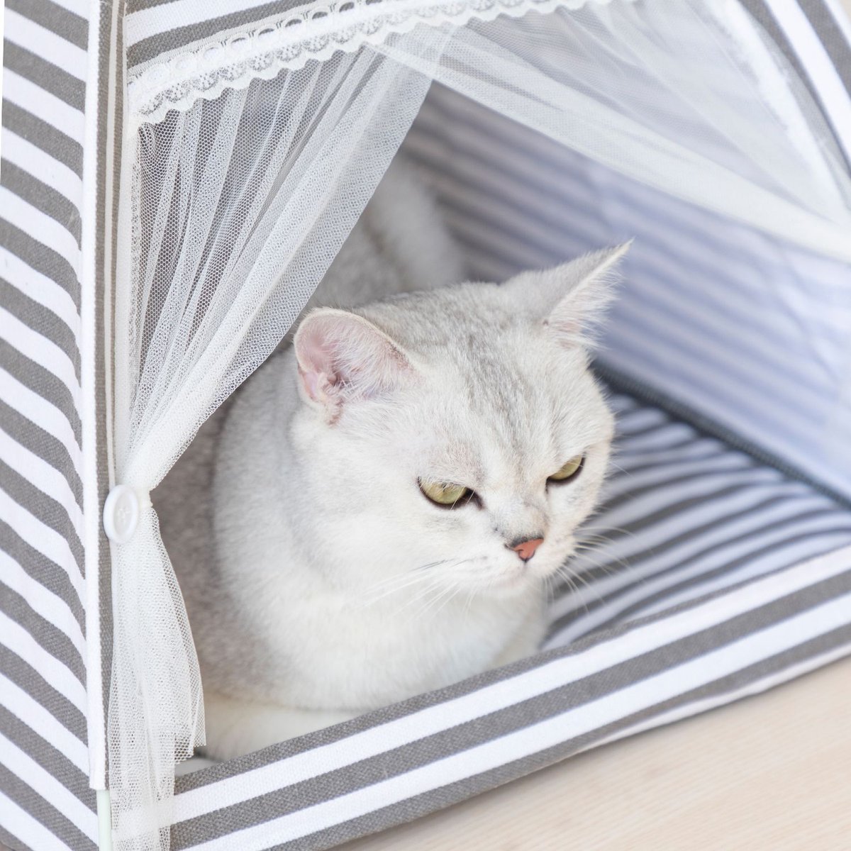 Lovely Caves Stripe Dog and Cat Tent， Gray， Medium