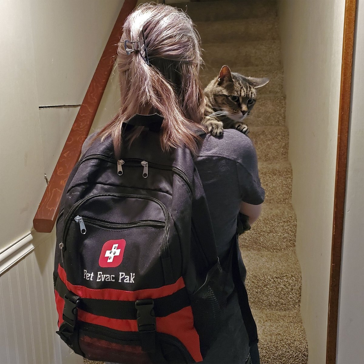 Pet Evac Pak Cat Emergency Backpack