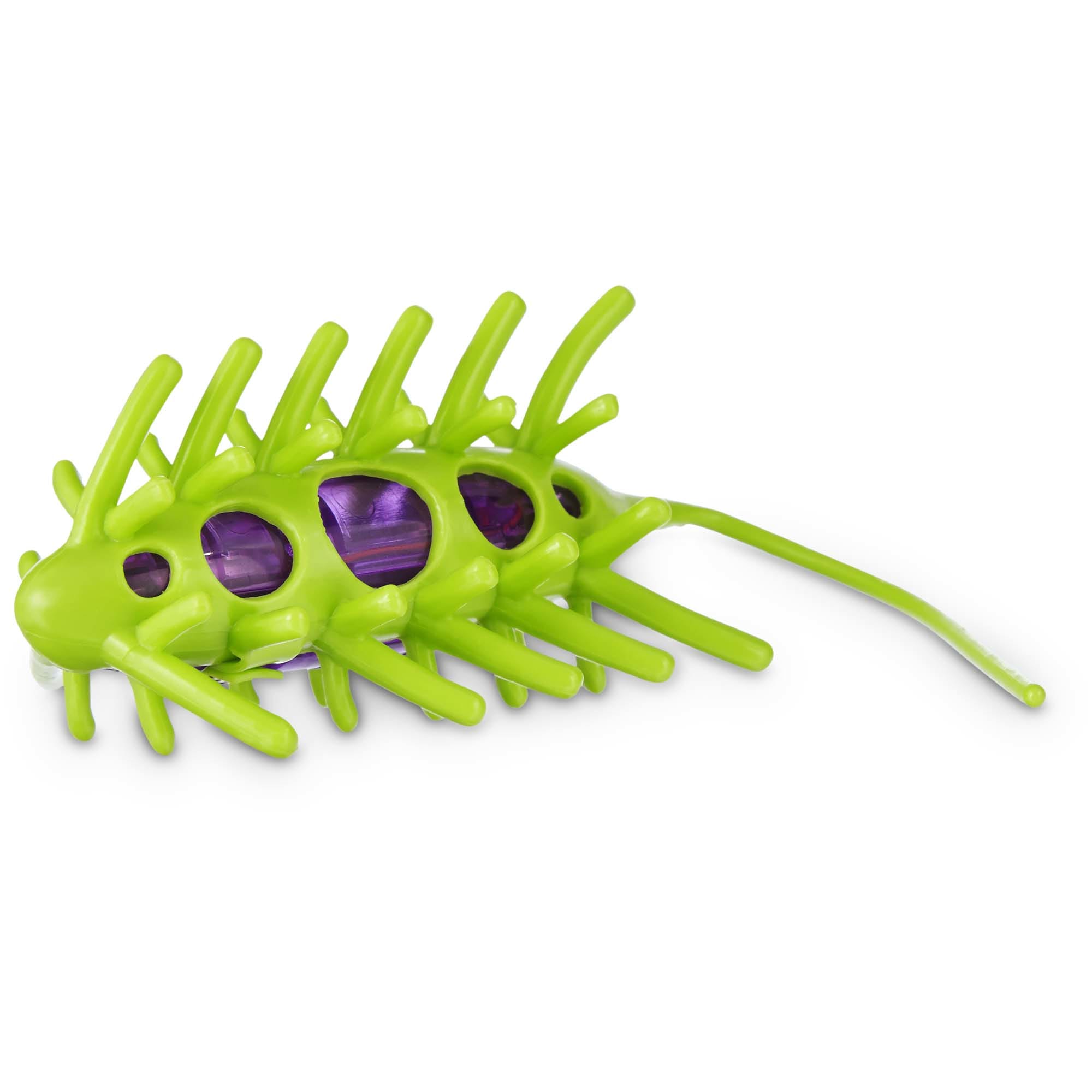 Leaps  Bounds Wiggle Bug Cat Toy