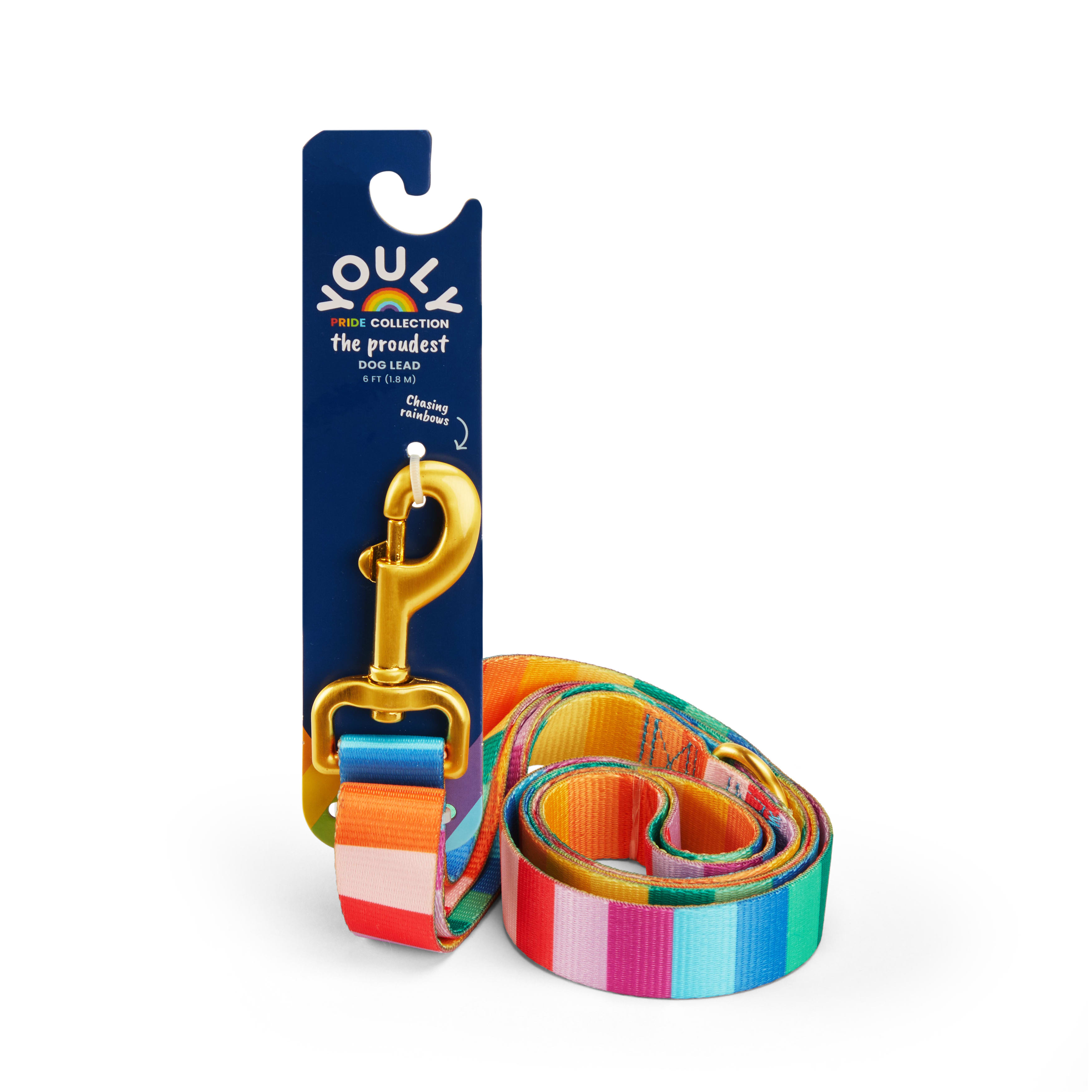 YOULY Rainbow Stripe Dog Lead