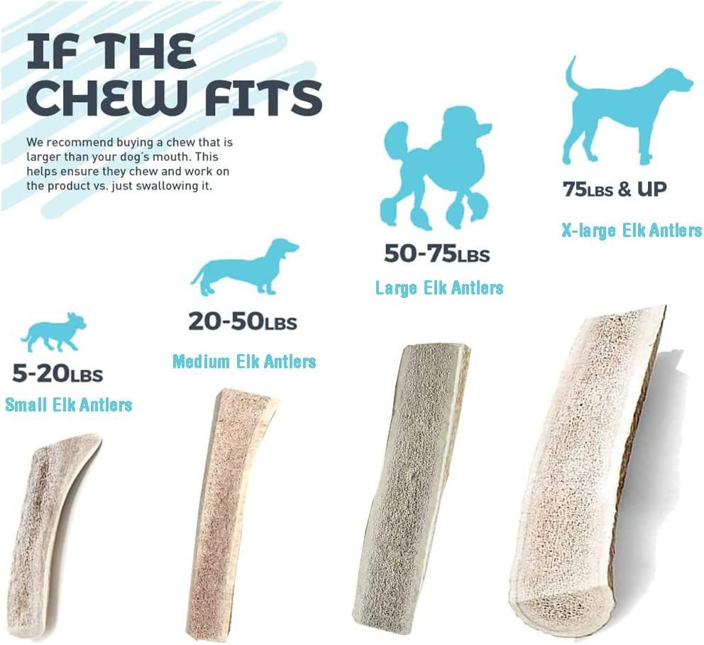 HOTSPOT PETS Split Large Elk Antlers 7-8-in Dog Chew Treats