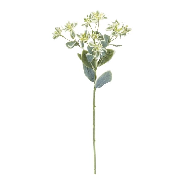 Euphorbia Floral Stem (Set of 6)