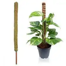 100% NaturalCoco Coir Pole Stick GrowStronger Plants Support The EcoFriendly GardenersGuide to CoirPole Sticks At WholesalePrice