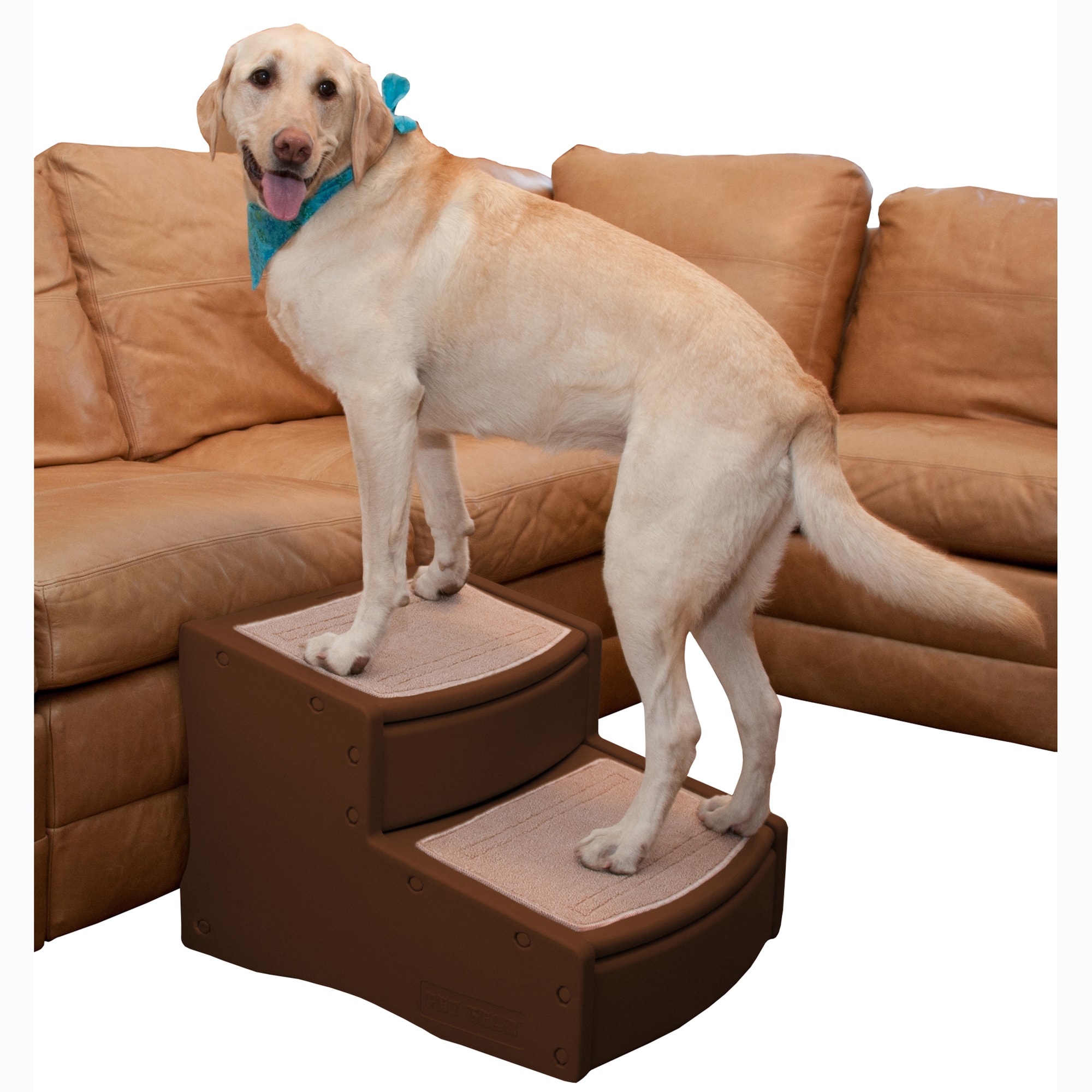 Pet Gear Easy Steps II Extra Wide for Dogs， 22