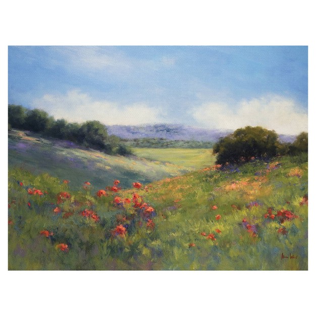 Poppies With A View By Alice Weil Wrapped Unframed Wall Canvas Art Masterpiece Art Gallery