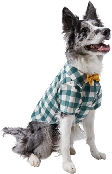 Frisco Boho Plaid Dog and Cat Shirt