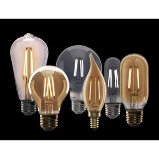 Feit Electric 40-Watt Equivalent ST19 DImmable M Shape Filament Clear Glass Vintage Edison LED Light Bulb Daylight (12-Pack) ST1940MCL950CAHDRP12