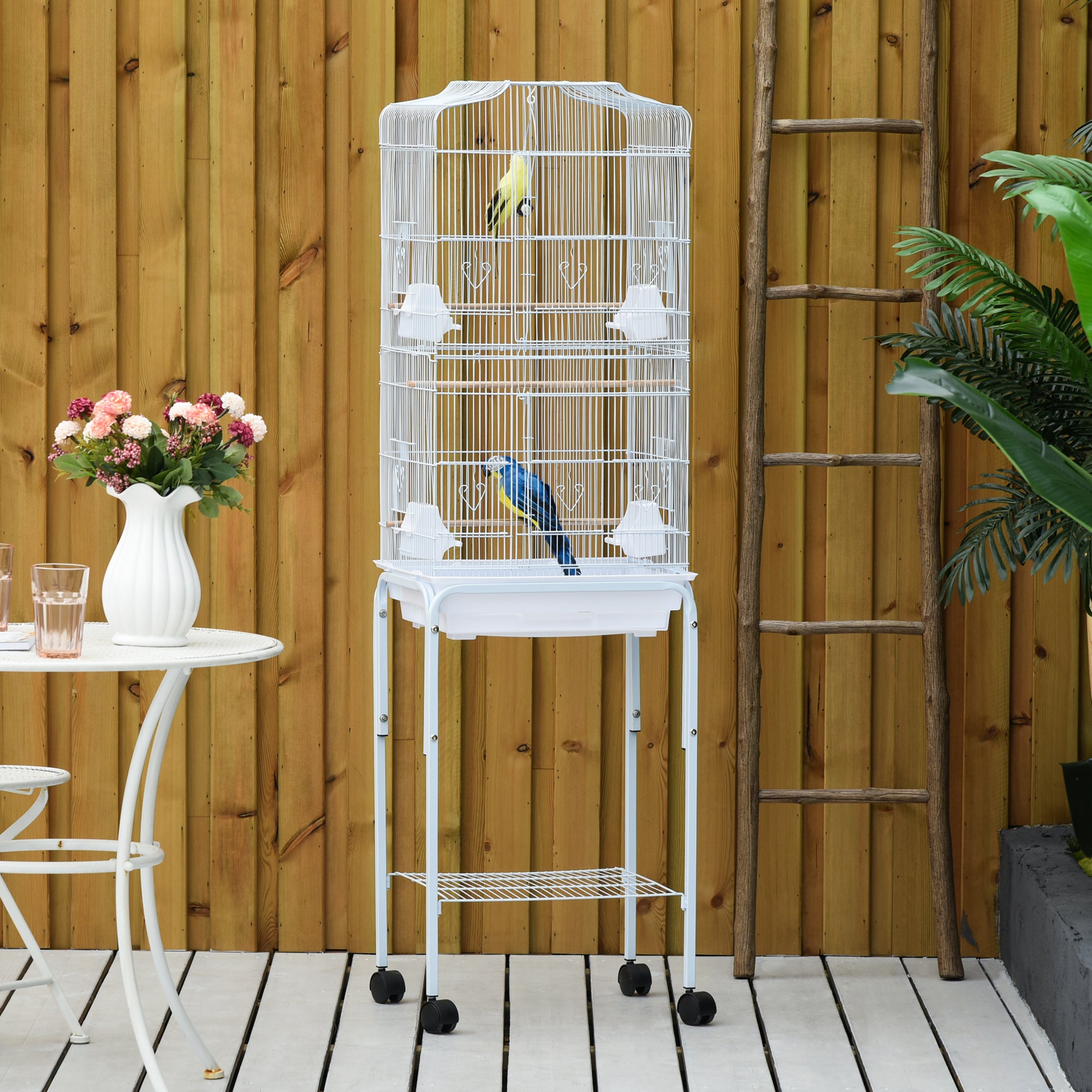 Bird Cage 60