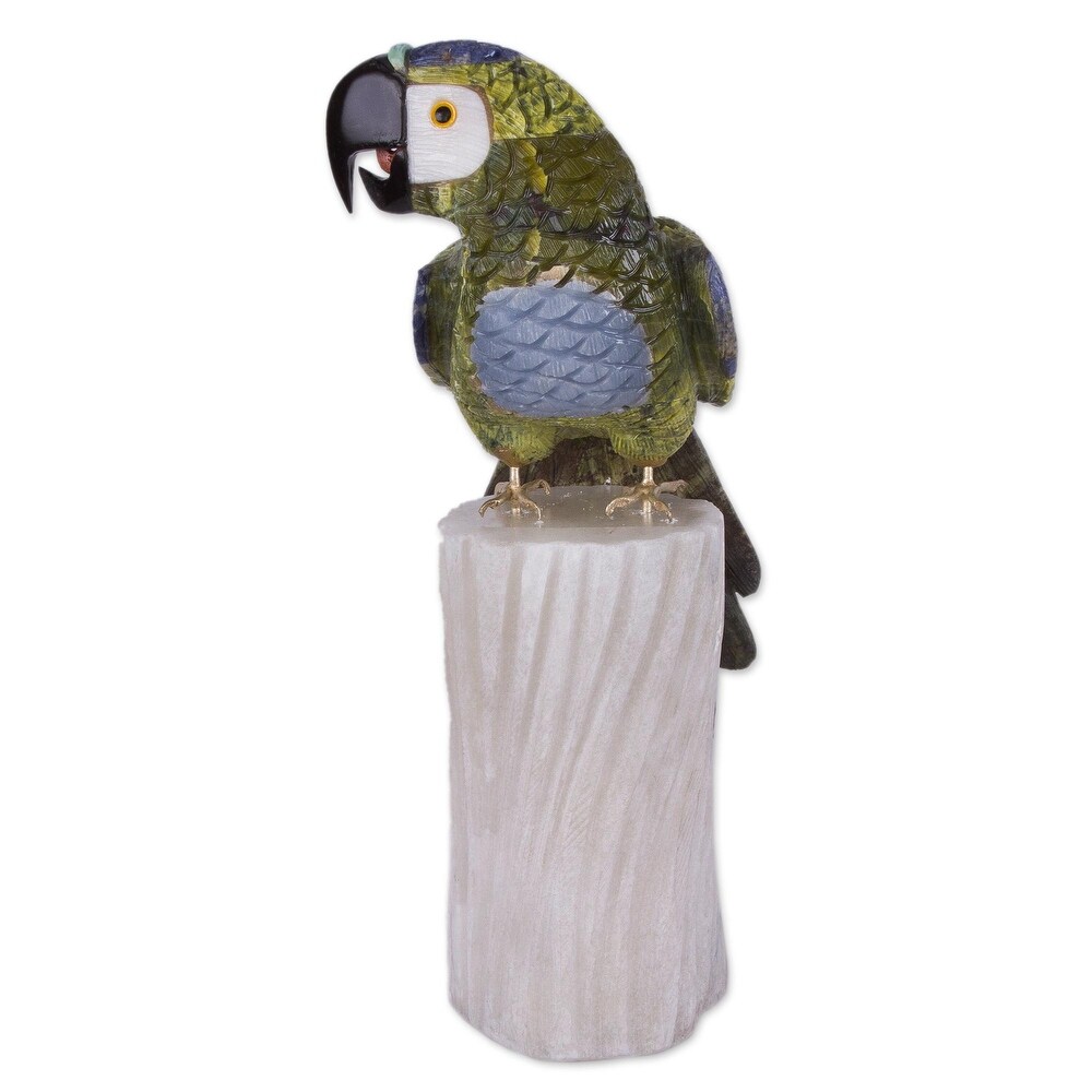 Novica Handmade Amazonian Parrot Multi Gemstone Statuette