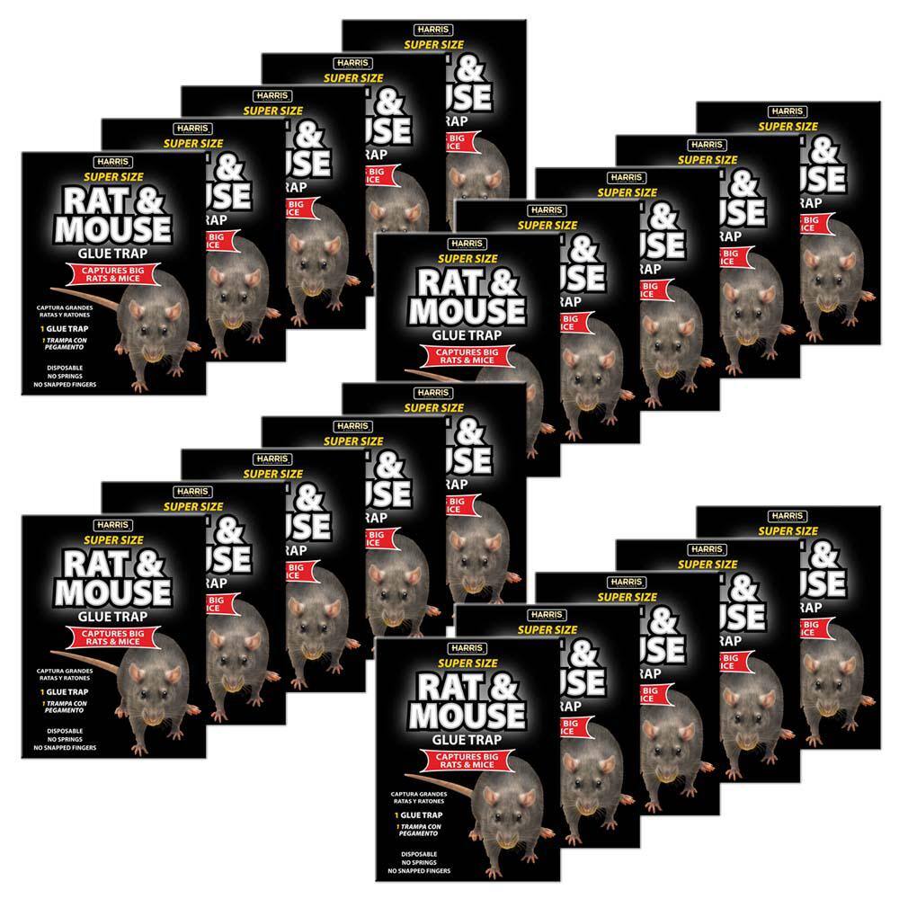 Harris Rat and Mouse Glue Trap Super-Size (20-Pack) 20BLKRAT-2