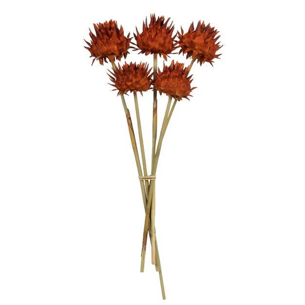 Vickerman Natural Dried Artichoke Head Attached To A Reed Stem Dried