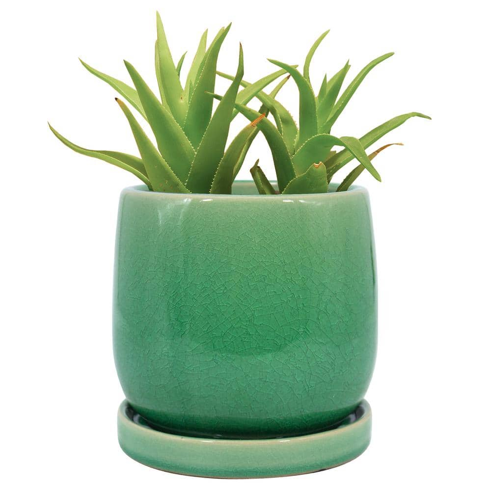 Trendspot 6 in. Mint Oceana Ceramic Planter ECR01706S-06G