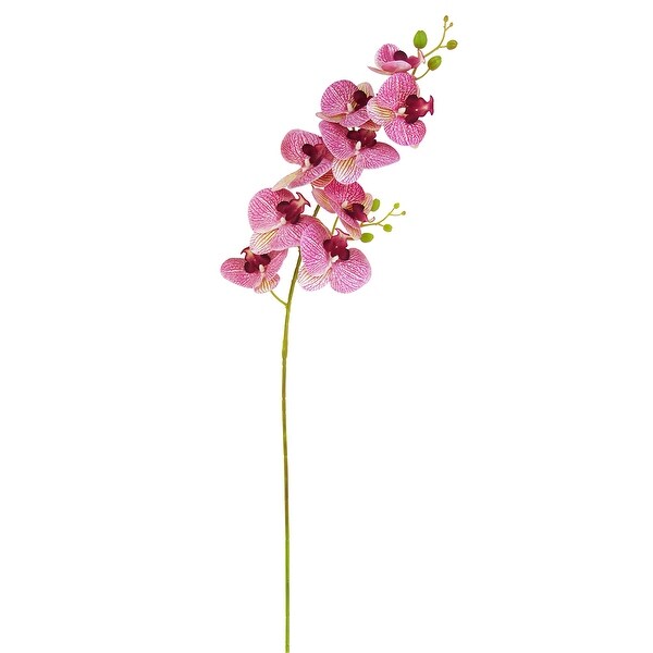 Set of 2 Natural Touch Artificial Phalaenopsis Orchid Flower Stem Tropical Spray 38.5in