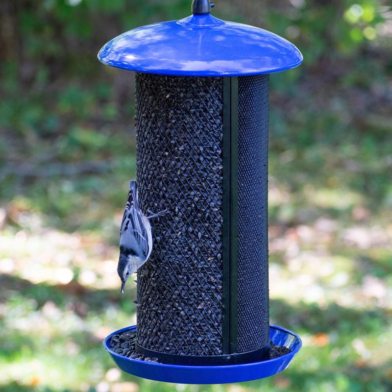 BIRD FEEDER BLK/BLU 8LB