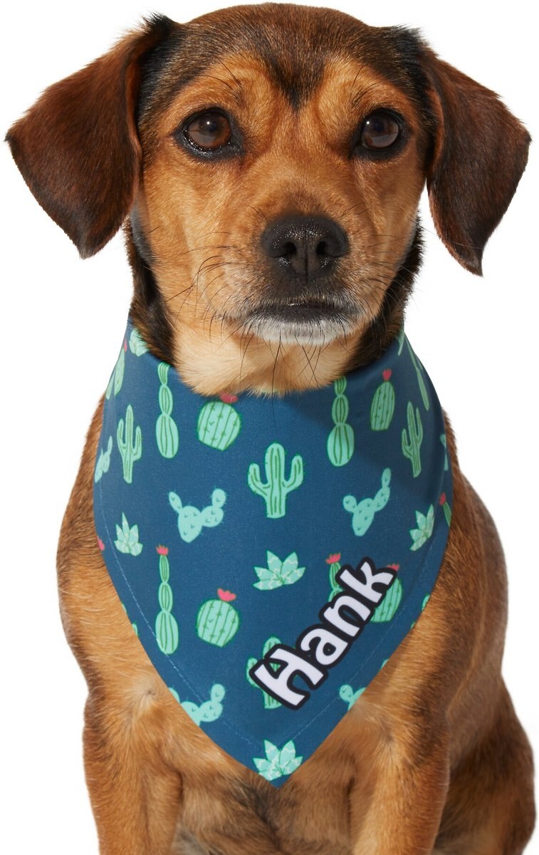 Frisco Cactus Personalized Dog and Cat Bandana