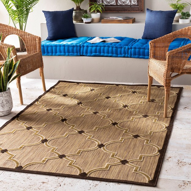 Rectangle Woven Indoor And Outdoor Area Rugs Dark Brown