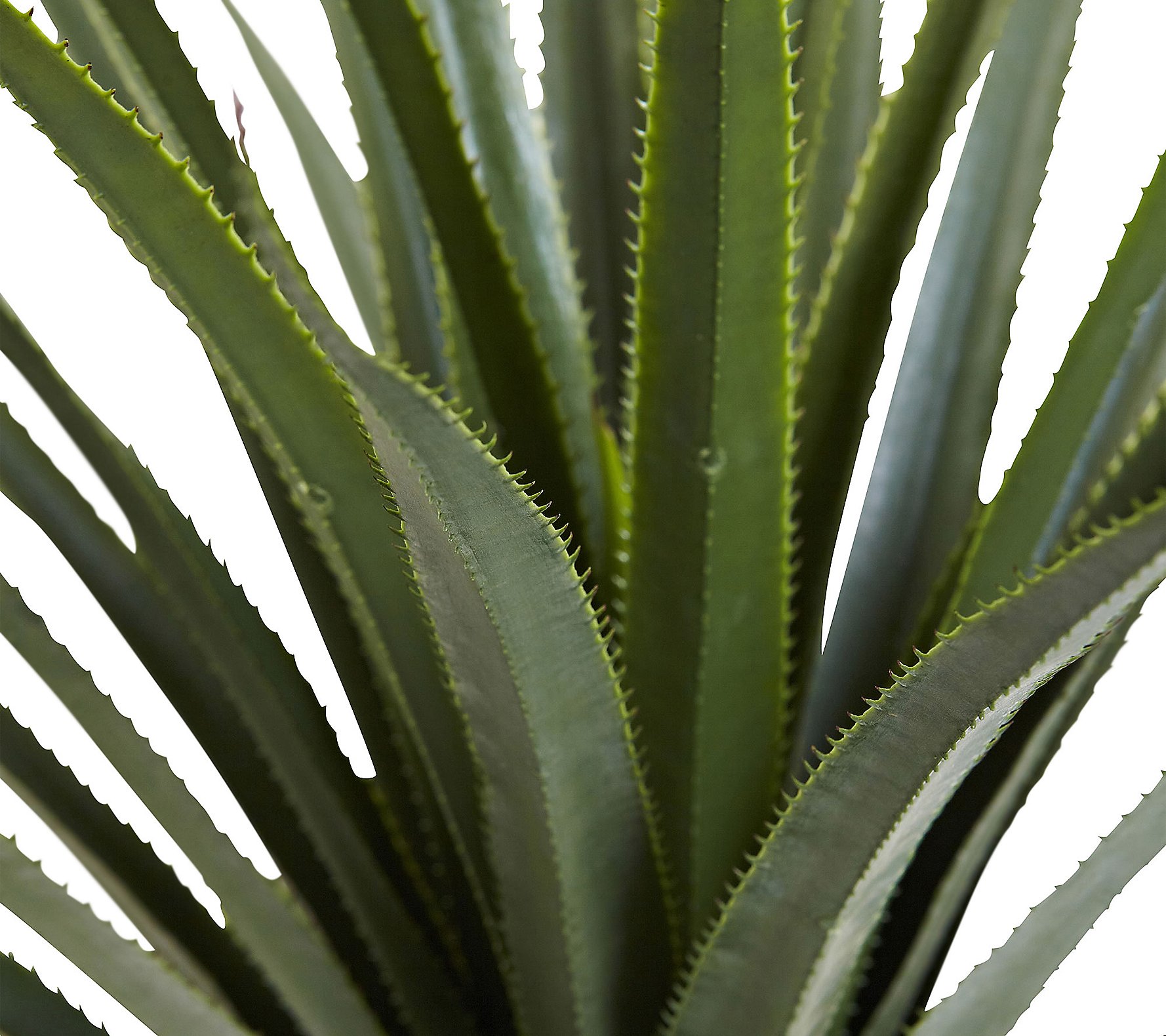 4' Spiked Agave Plant by Nearly Natural