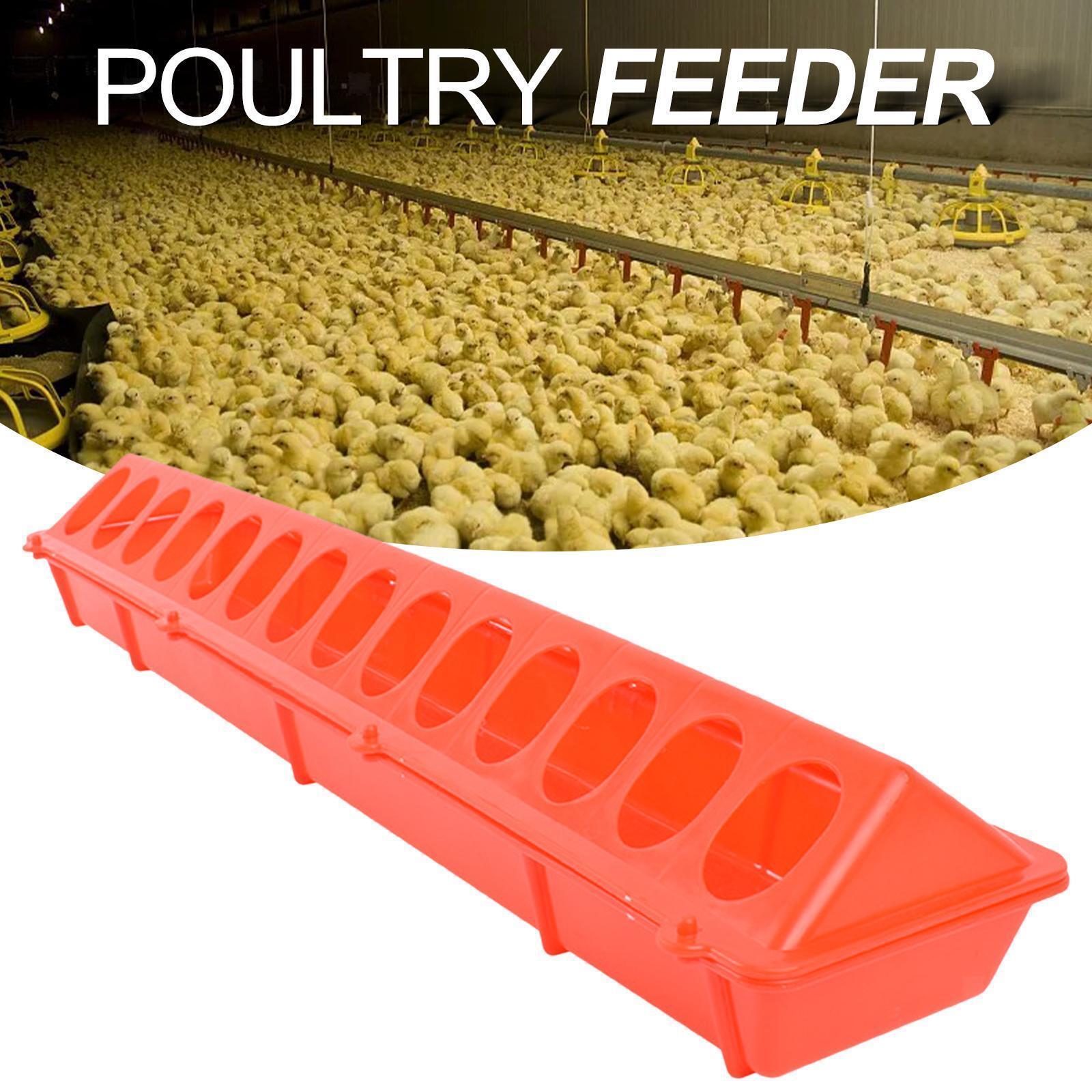 Plastic  Poultry Feeder  Drinker Bucket Farming Tool Birds Feeding Trough For