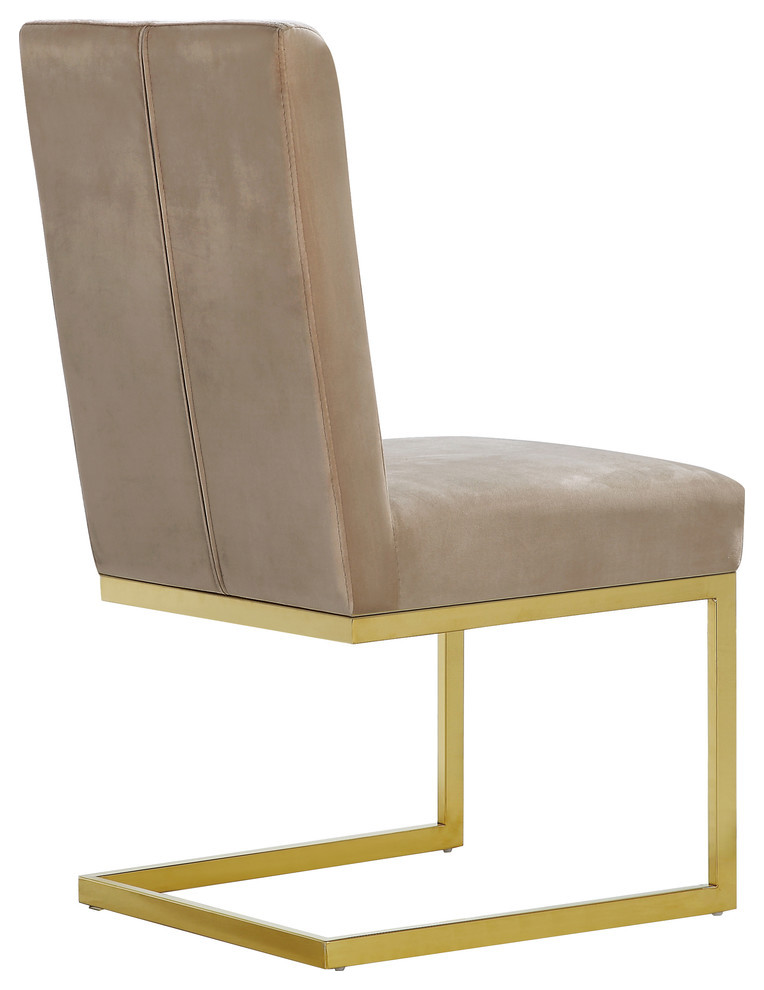 Cameron Velvet Dining Chair  Set of 2   Contemporary   Dining Chairs   by Meridian Furniture  Houzz