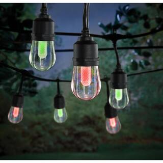 Hampton Bay IndoorOutdoor 24 ft. Smart Plug-in Edison Bulb RGBW Color Changing LED String Light (12-Bulb) Powered by Hubspace HB-10521-HS